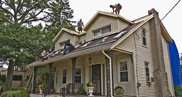 Best Metal Roofing Contractor  in Cloverport, KY